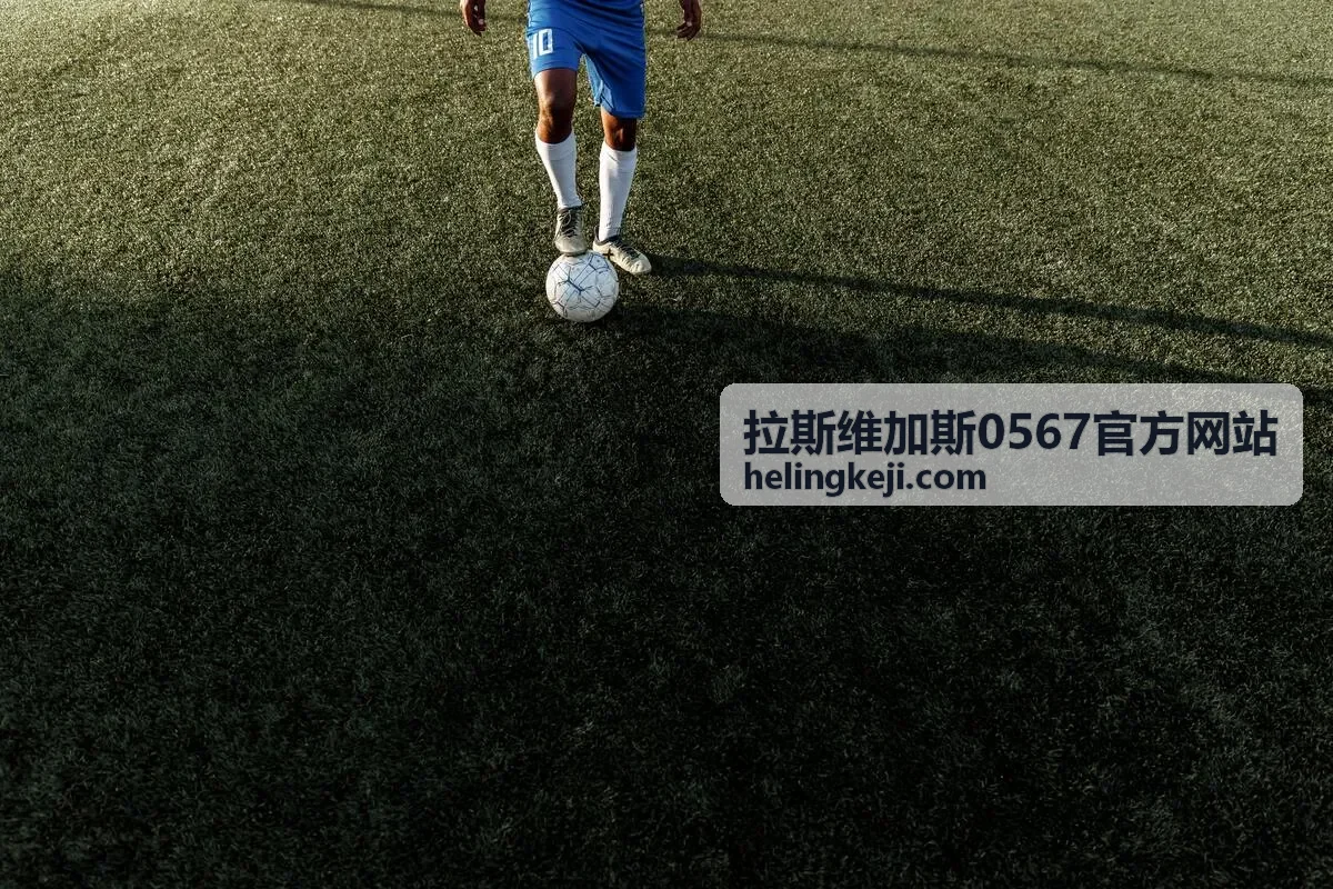 拉斯维加斯企业年会服务案例